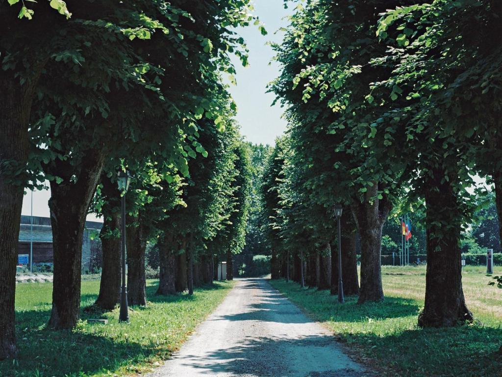 Villa Meli Lupi - Residenze Temporanee Parma Zewnętrze zdjęcie